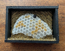 Load image into Gallery viewer, Honeycomb Shadowbox with Antique Bee Bead