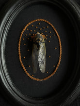 Load image into Gallery viewer, Cicada with Embroidery and Antique Beading

