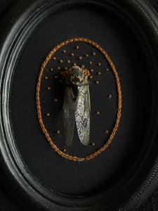 Cicada with Embroidery and Antique Beading