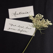 Load image into Gallery viewer, Antonia