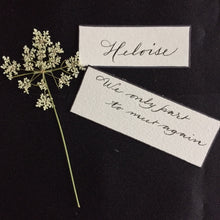 Load image into Gallery viewer, Heloise