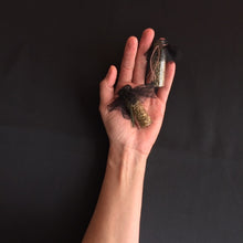 Load image into Gallery viewer, Glass Jar Sachet of Lavender or Balsam