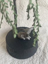 Load image into Gallery viewer, Glass Cloche Deer Diorama
